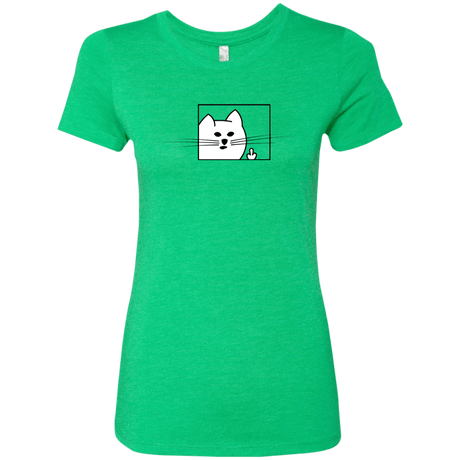 T-Shirts Envy / S Feline Flip Women's Triblend T-Shirt