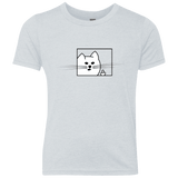 T-Shirts Heather White / YXS Feline Flip Youth Triblend T-Shirt