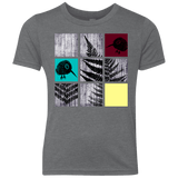 T-Shirts Premium Heather / YXS Ferns n Chicks Youth Triblend T-Shirt