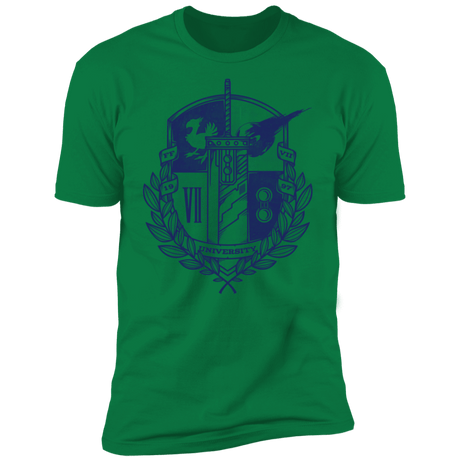 T-Shirts Kelly Green / S Final University Men's Premium T-Shirt