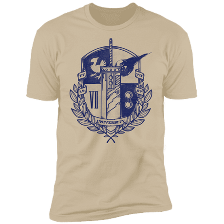 T-Shirts Sand / S Final University Men's Premium T-Shirt