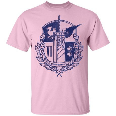 T-Shirts Light Pink / YXS Final University Youth T-Shirt