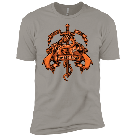 T-Shirts Light Grey / YXS FIRE AND BLOOD Boys Premium T-Shirt