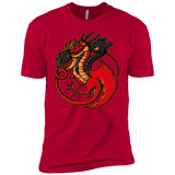 T-Shirts Red / YXS FIRE BLOOD AND TRAINING Boys Premium T-Shirt
