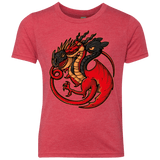 T-Shirts Vintage Red / YXS FIRE BLOOD AND TRAINING Youth Triblend T-Shirt