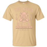T-Shirts Vegas Gold / Small Fire is Fierce T-Shirt