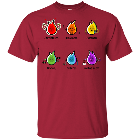 T-Shirts Cardinal / YXS Flaming Elements Science Youth T-Shirt