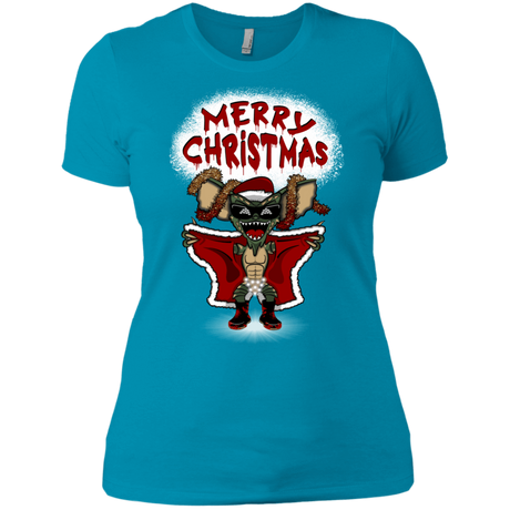 T-Shirts Turquoise / X-Small Flashing Through The Snow Women's Premium T-Shirt