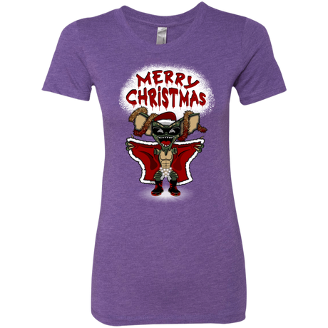 T-Shirts Purple Rush / Small Flashing Through The Snow Women's Triblend T-Shirt