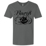 T-Shirts Heavy Metal / X-Small Flourish and Blotts of Diagon Alley Men's Premium V-Neck