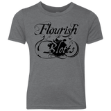 T-Shirts Premium Heather / YXS Flourish and Blotts of Diagon Alley Youth Triblend T-Shirt