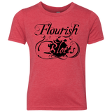T-Shirts Vintage Red / YXS Flourish and Blotts of Diagon Alley Youth Triblend T-Shirt