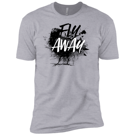 T-Shirts Heather Grey / YXS Fly Away Boys Premium T-Shirt