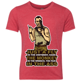 T-Shirts Vintage Red / YXS Fly In The Ointment Youth Triblend T-Shirt