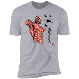 T-Shirts Heather Grey / YXS Flying for Freedom Boys Premium T-Shirt