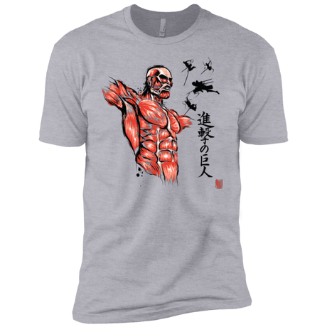 T-Shirts Heather Grey / YXS Flying for Freedom Boys Premium T-Shirt