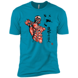 T-Shirts Turquoise / YXS Flying for Freedom Boys Premium T-Shirt