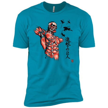 T-Shirts Turquoise / YXS Flying for Freedom Boys Premium T-Shirt