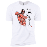 T-Shirts White / YXS Flying for Freedom Boys Premium T-Shirt