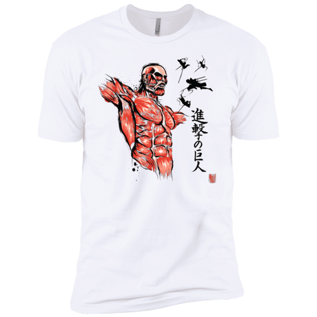 T-Shirts White / YXS Flying for Freedom Boys Premium T-Shirt