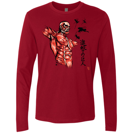 T-Shirts Cardinal / Small Flying for Freedom Men's Premium Long Sleeve