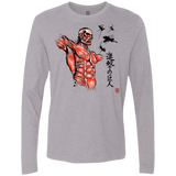 T-Shirts Heather Grey / Small Flying for Freedom Men's Premium Long Sleeve