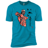 T-Shirts Turquoise / X-Small Flying for Freedom Men's Premium T-Shirt