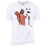 T-Shirts White / X-Small Flying for Freedom Men's Premium T-Shirt