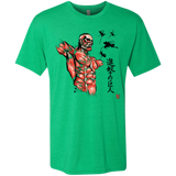 T-Shirts Envy / Small Flying for Freedom Men's Triblend T-Shirt