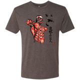 T-Shirts Macchiato / Small Flying for Freedom Men's Triblend T-Shirt