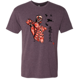 T-Shirts Vintage Purple / Small Flying for Freedom Men's Triblend T-Shirt