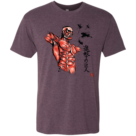 T-Shirts Vintage Purple / Small Flying for Freedom Men's Triblend T-Shirt