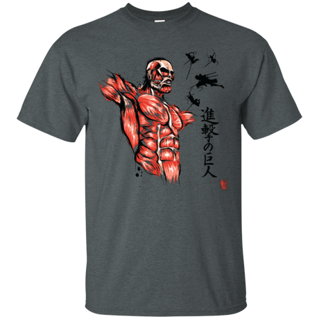 T-Shirts Dark Heather / Small Flying for Freedom T-Shirt