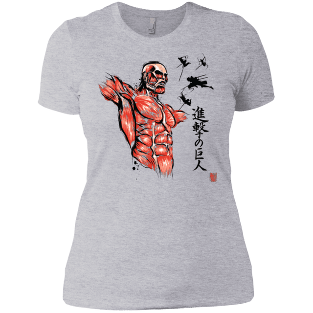 T-Shirts Heather Grey / X-Small Flying for Freedom Women's Premium T-Shirt