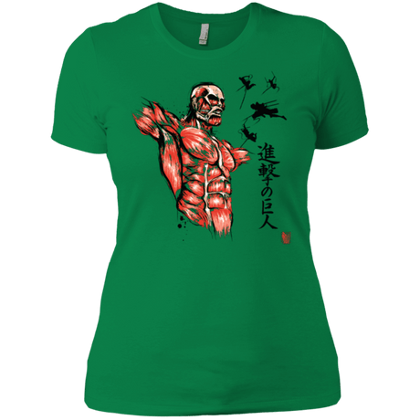 T-Shirts Kelly Green / X-Small Flying for Freedom Women's Premium T-Shirt