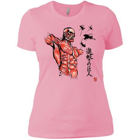 T-Shirts Light Pink / X-Small Flying for Freedom Women's Premium T-Shirt