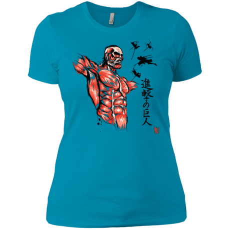 T-Shirts Turquoise / X-Small Flying for Freedom Women's Premium T-Shirt