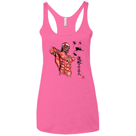 T-Shirts Vintage Pink / X-Small Flying for Freedom Women's Triblend Racerback Tank