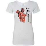 T-Shirts Heather White / Small Flying for Freedom Women's Triblend T-Shirt