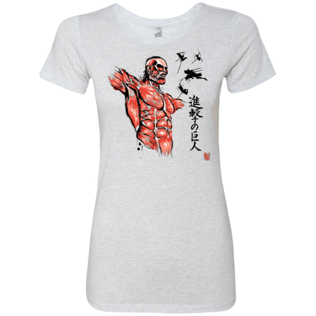 T-Shirts Heather White / Small Flying for Freedom Women's Triblend T-Shirt