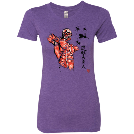 T-Shirts Purple Rush / Small Flying for Freedom Women's Triblend T-Shirt