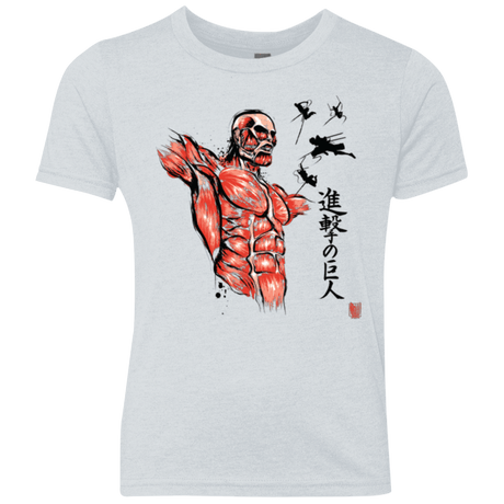 T-Shirts Heather White / YXS Flying for Freedom Youth Triblend T-Shirt