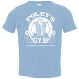 T-Shirts Light Blue / 2T Foleys Gym Toddler Premium T-Shirt