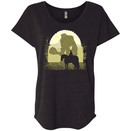 T-Shirts Vintage Black / X-Small Forbidden Lands Triblend Dolman Sleeve