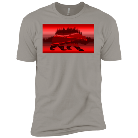 T-Shirts Light Grey / YXS Forest Bear Boys Premium T-Shirt