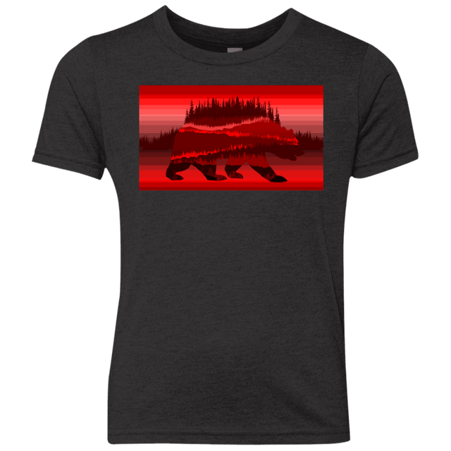 T-Shirts Vintage Black / YXS Forest Bear Youth Triblend T-Shirt