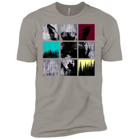 T-Shirts Light Grey / YXS Fox Pane Boys Premium T-Shirt