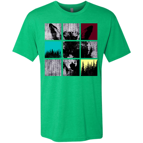 T-Shirts Envy / S Fox Pane Men's Triblend T-Shirt