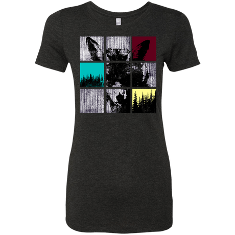 T-Shirts Vintage Black / S Fox Pane Women's Triblend T-Shirt