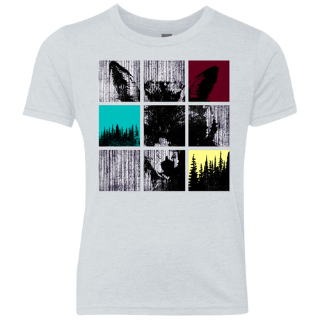 T-Shirts Heather White / YXS Fox Pane Youth Triblend T-Shirt